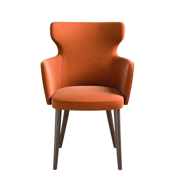 Sillón tapizado de diseño - Diseño clásico