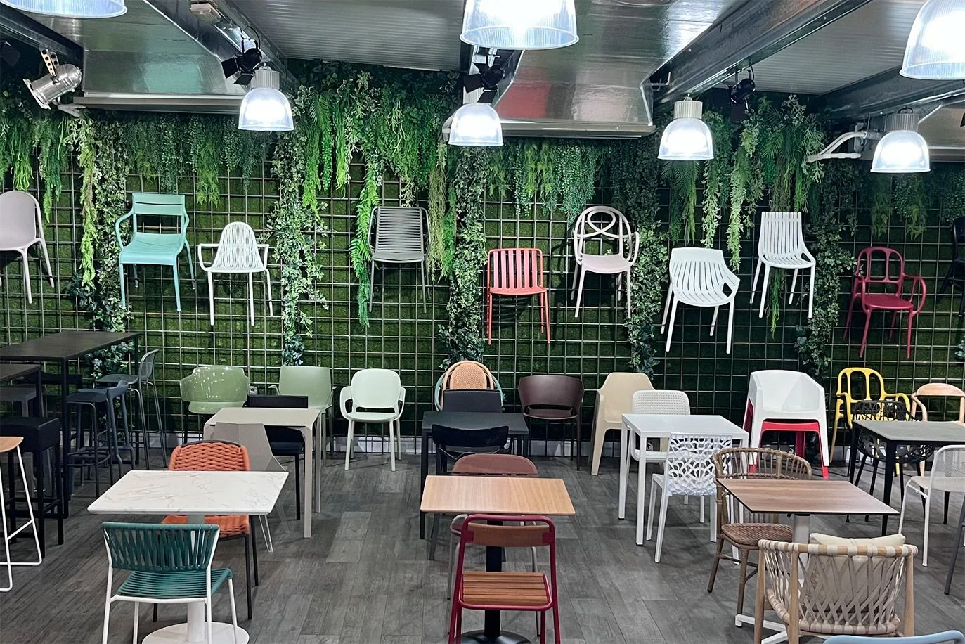 showroom-profesionales