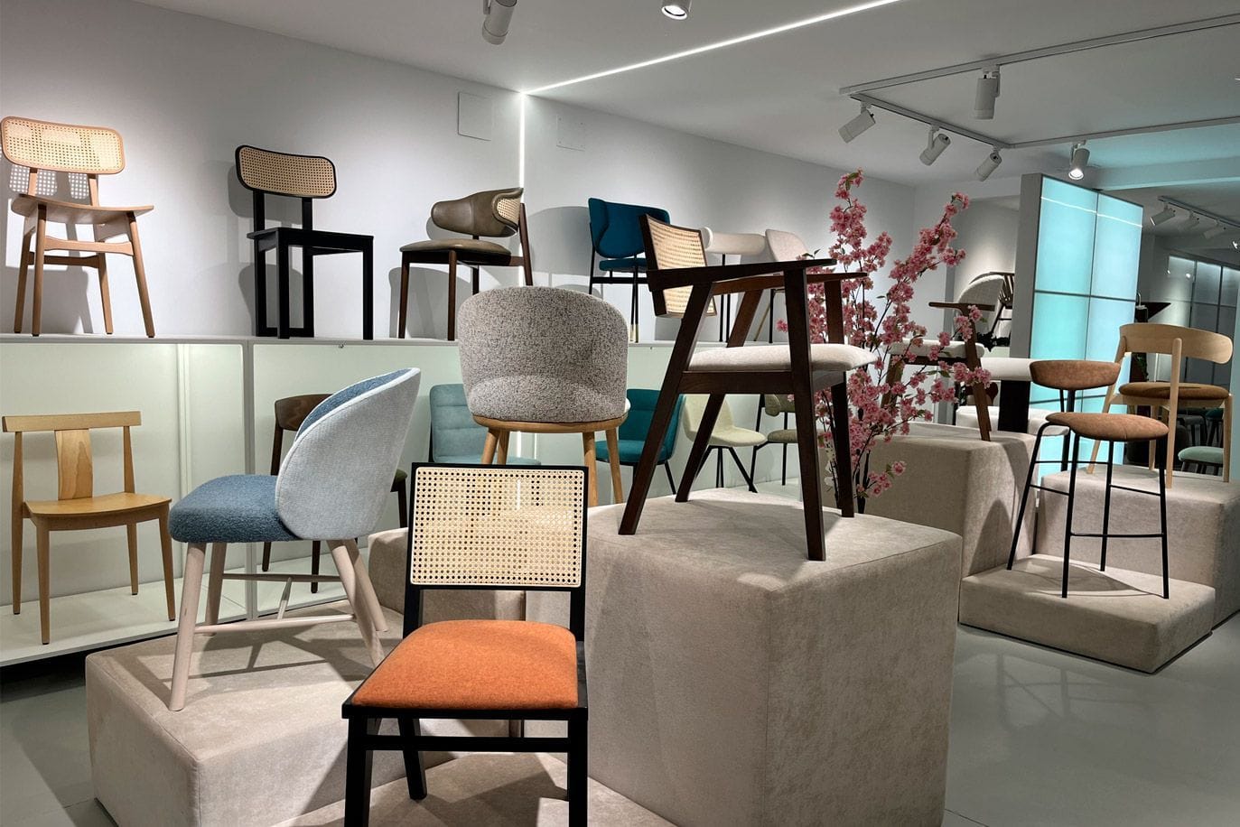 showroom-profesionales4