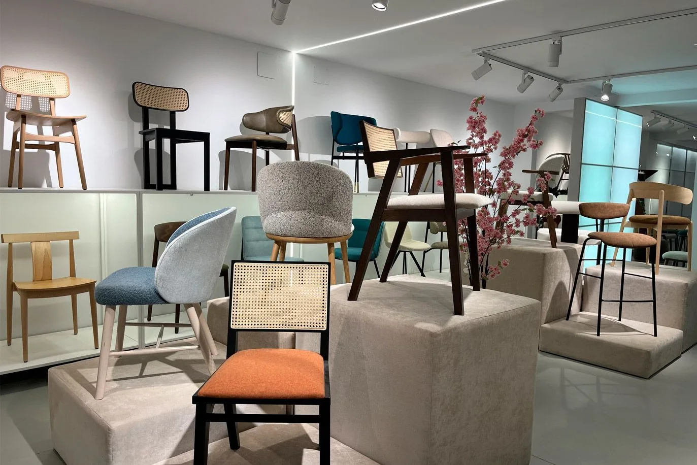 showroom-profesionales4